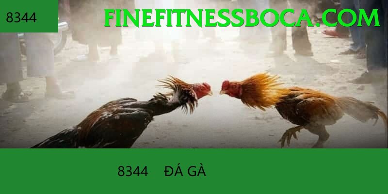 Đá Gà Trực Tiếp - 58WIN