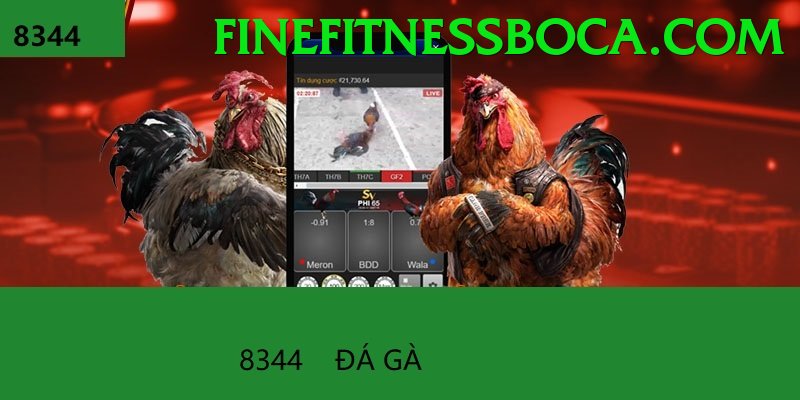 Đá Gà Trực Tiếp - Ưu đãi đặc biệt